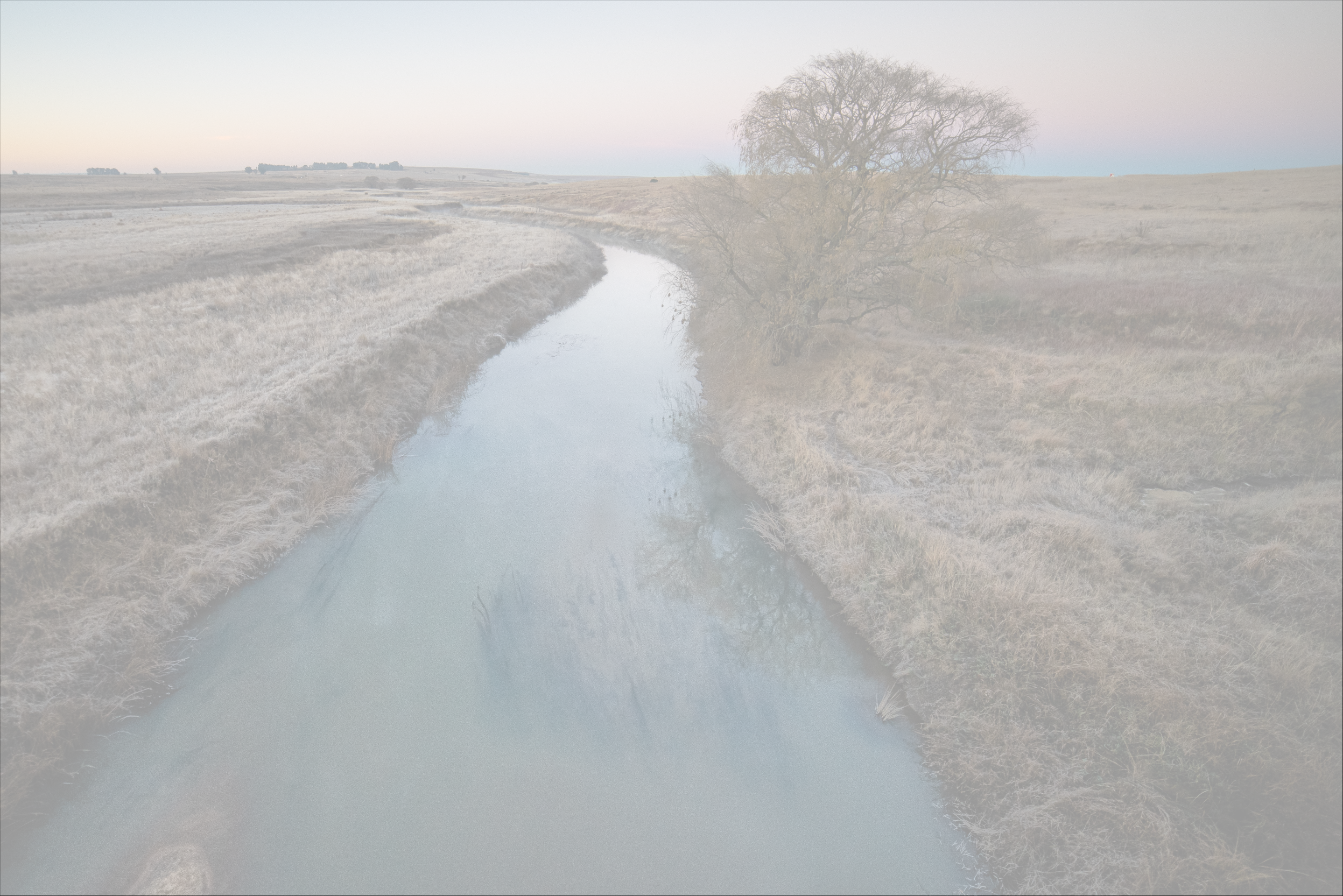 Artboard 1@0.5x_canal_bg